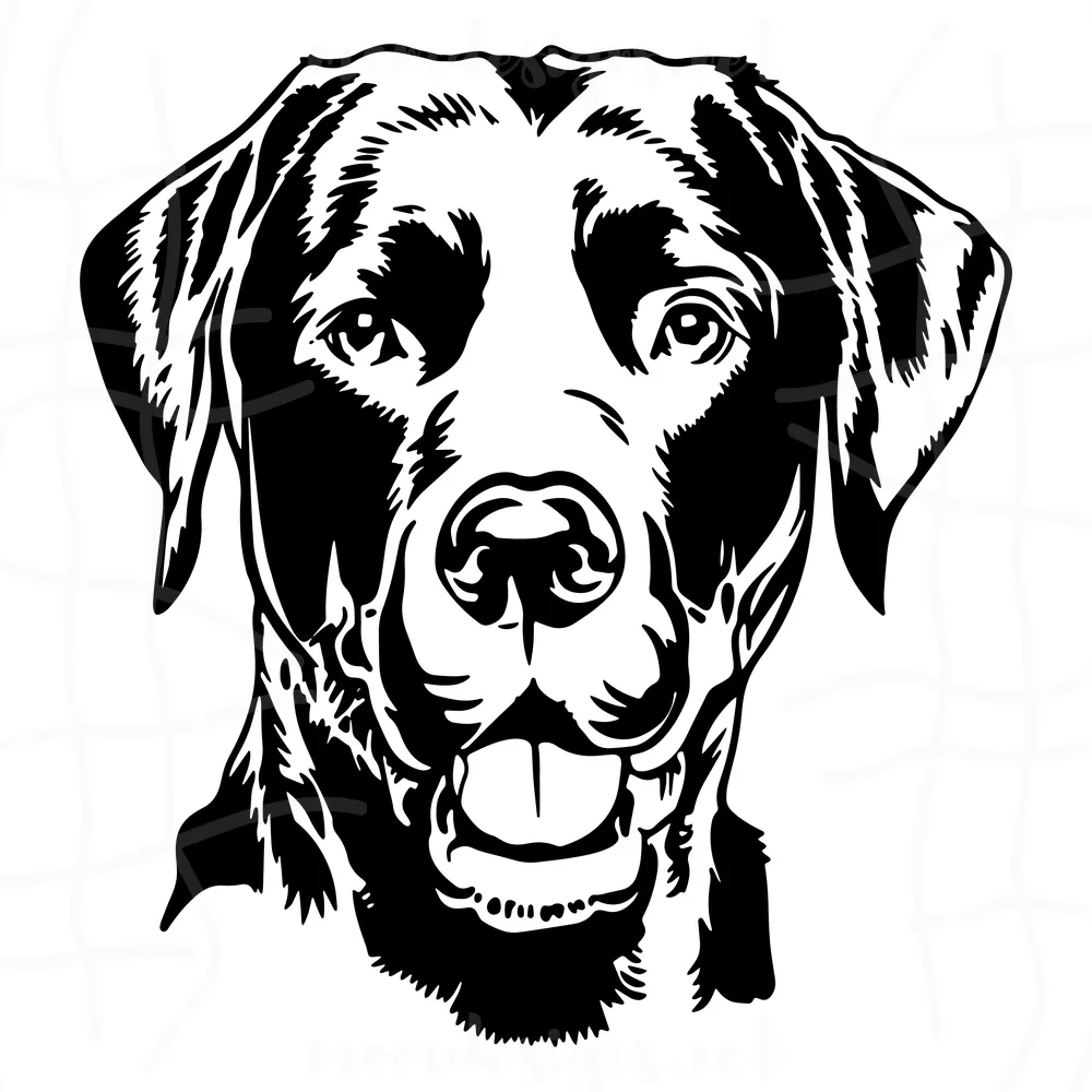 Labrador Dog Svg, Labrador Svg, Black Labrador Svg, Dog Lover Svg, Dog Gift Svg